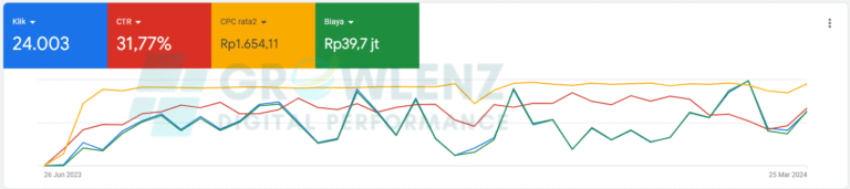 Portofolio data Jasa Iklan Google ADS
